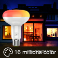 WiFi led Bulbs Siri Voice Control Alexa Google